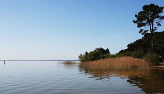 Le lac de Cazeau-Sanguinet 