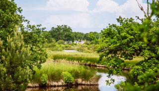 La Réserve Naturelle Nationale des Prés Salés